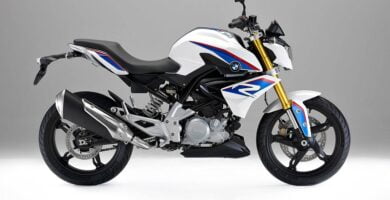 Manual Moto BMW-G 310 R-2016 de Usuario PDF GRATIS