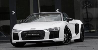 Catálogo de Partes AUDI R8 4S 2021 AutoPartes y Refacciones