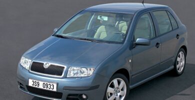 Catálogo de Partes SKODA FABIA 2004 AutoPartes y Refacciones