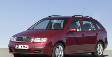 Manual SKODA FABIA 2005 de Reparación y Servicio