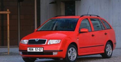 Manual SKODA FABIA 2006 de Reparación y Servicio