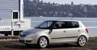 Manual SKODA FABIA 2007 de Reparación y Servicio