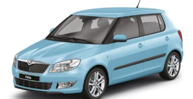 Manual SKODA FABIA 2009 de Reparación y Servicio