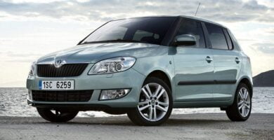 Manual SKODA FABIA 2011 de Reparación y Servicio