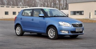 Manual SKODA FABIA 2012 de Reparación y Servicio