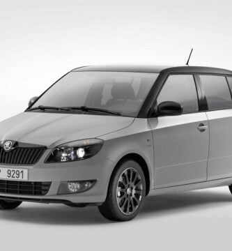 Manual SKODA FABIA 2013 de Reparación y Servicio