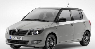 Manual SKODA FABIA 2013 de Reparación y Servicio