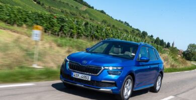 Manual SKODA KAMIQ 2019 de Reparación y Servicio