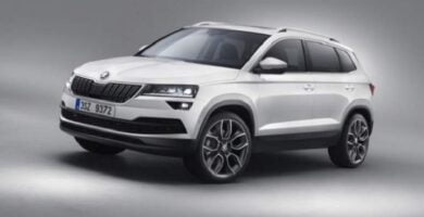 Manual SKODA KAROQ 2008 de Reparación y Servicio