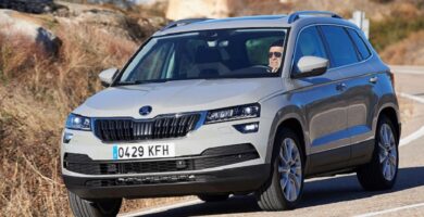 Manual SKODA KAROQ 2010 de Reparación y Servicio