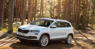 Manual SKODA KAROQ 2012 de Reparación y Servicio