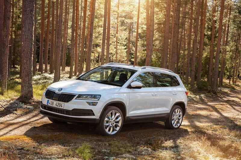 Manual SKODA KAROQ 2012 de Reparación y Servicio