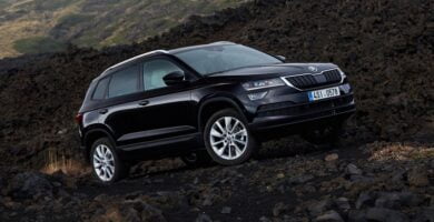 Manual SKODA KAROQ 2016 de Reparación y Servicio