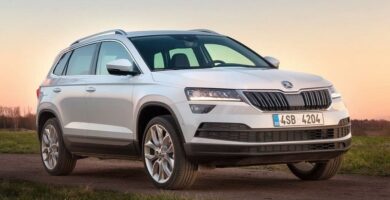 Manual SKODA KAROQ 2017 de Reparación y Servicio