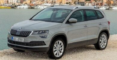 Manual SKODA KAROQ 2018 de Reparación y Servicio