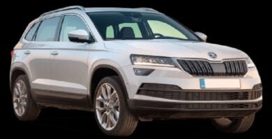 Manual SKODA KAROQ 2019 de Reparación y Servicio