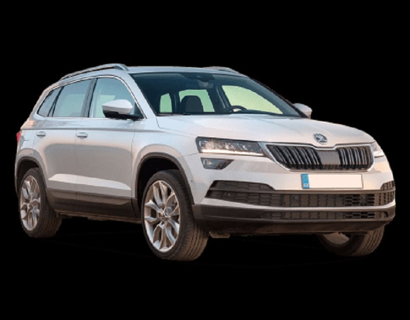 Manual SKODA KAROQ 2019 de Reparación y Servicio