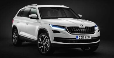 Manual SKODA KODIAQ 2016 de Reparación y Servicio