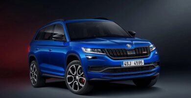 Manual SKODA KODIAQ 2019 de Reparación y Servicio