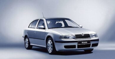 Catálogo de Partes SKODA OCTAVIA 2002 AutoPartes y Refacciones