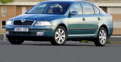 Catálogo de Partes SKODA OCTAVIA 2006 AutoPartes y Refacciones