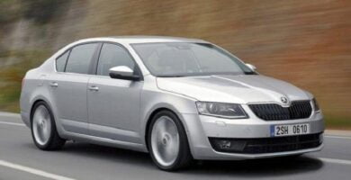 Catálogo de Partes SKODA OCTAVIA 2014 AutoPartes y Refacciones