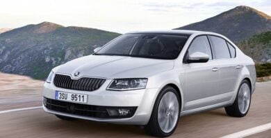 Catálogo de Partes SKODA OCTAVIA 2016 AutoPartes y Refacciones