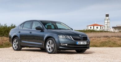 Manual SKODA OCTAVIA 2017 de Reparación y Servicio