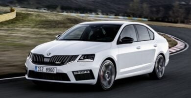 Catálogo de Partes SKODA OCTAVIA 2018 AutoPartes y Refacciones