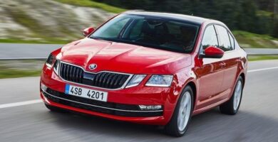 Catálogo de Partes SKODA OCTAVIA 2019 AutoPartes y Refacciones