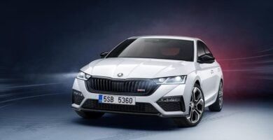 Catálogo de Partes SKODA OCTAVIA 2021 AutoPartes y Refacciones