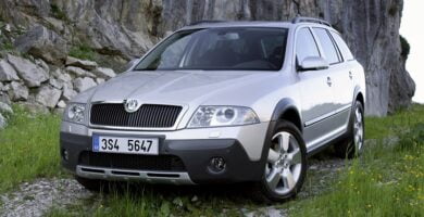 Manual SKODA SCOUT 2008 de Reparación y Servicio