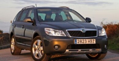 Manual SKODA SCOUT 2011 de Reparación y Servicio