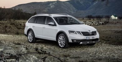 Manual SKODA SCOUT 2016 de Reparación y Servicio