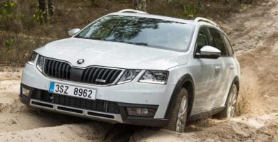 Manual SKODA SCOUT 2017 de Reparación y Servicio