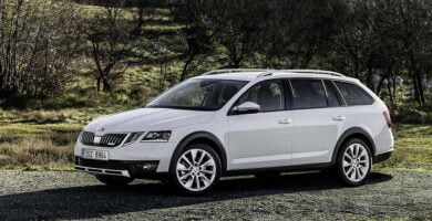 Manual SKODA SCOUT 2018 de Reparación y Servicio