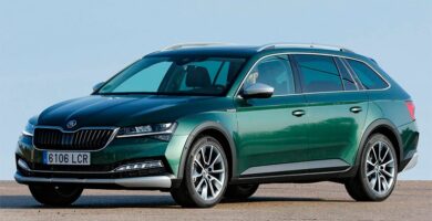 Manual SKODA SCOUT 2019 de Reparación y Servicio