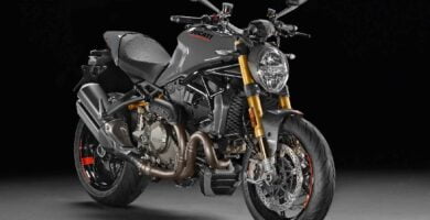 Manual Moto DUCATI MONSTER 1200 2021 de Usuario PDF GRATIS