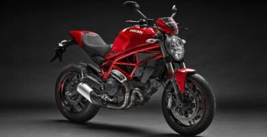 Manual Moto DUCATI MONSTER 797 2020 de Usuario PDF GRATIS