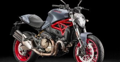 Manual Moto DUCATI MONSTER 821 2017 de Usuario PDF GRATIS