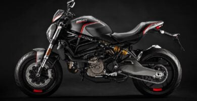 Manual Moto DUCATI MONSTER 821 2019 de Usuario PDF GRATIS