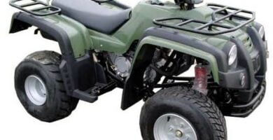 Manual de Moto ADLY 150 S II DESCARGAR GRATIS