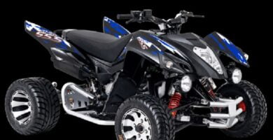 Manual de Moto ADLY 300S 227A DESCARGAR GRATIS