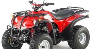 Manual de Moto ADLY 300U 223A DESCARGAR GRATIS