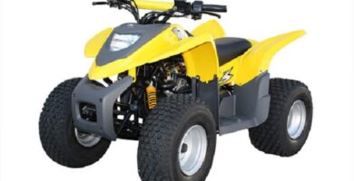 Manual de Moto ADLY 100V 186A DESCARGAR GRATIS