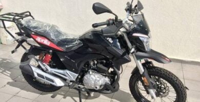 Manual Moto APRILIA 150 2001 Reparación y Servicio