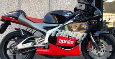 Manual Moto APRILIA RS 125 1999 Reparación y Servicio