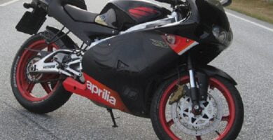 Manual Moto APRILIA RS 125 2003 Reparación y Servicio