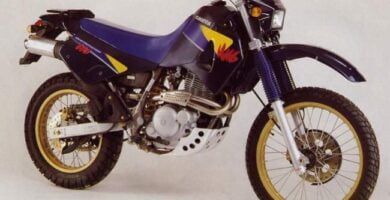 Manual Moto CAGIVA W16 T4 600 1995 Reparación y Servicio