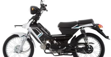 Manual Moto ITALIKA A110LT de Usuario Descarga en PDF GRATIS